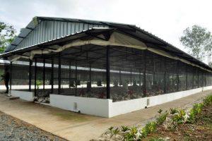 Poultry House