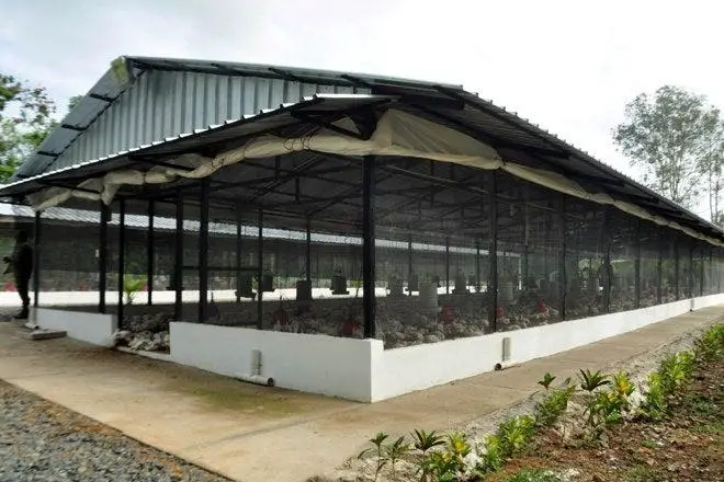 Poultry House Construction Guidelines