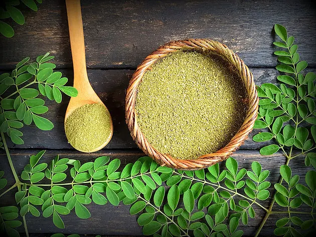 Guide to growing Moringa Oleifera for health, nutrition and profit