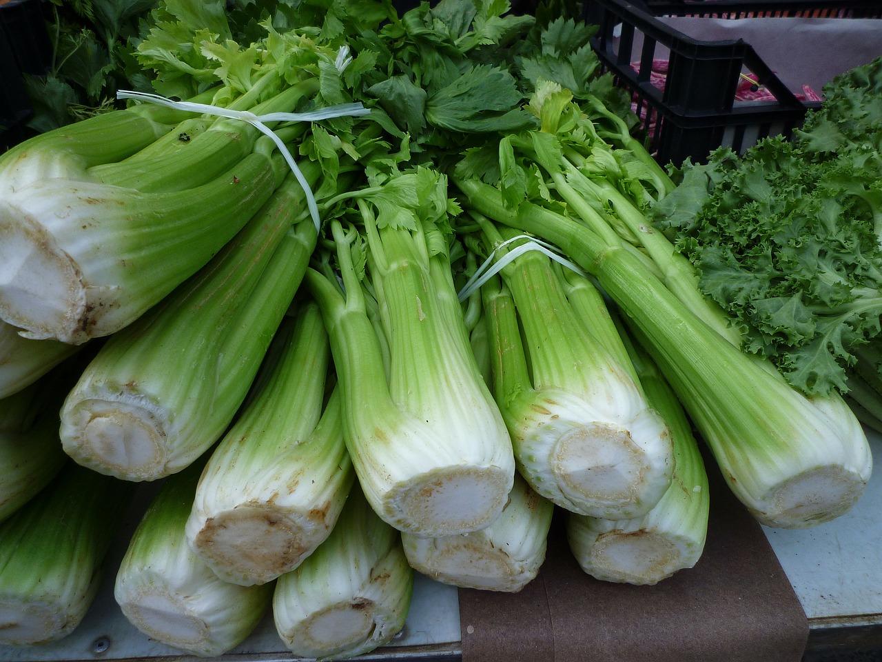 Celery Farming in Kenya – A detailed Guide