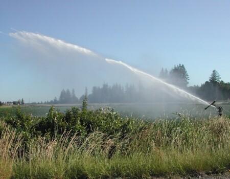 Guide to choosing the right irrigation system
